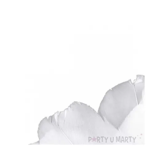 piorka dekoracyjne gesie bialy stoklasa 5 5 7 cm 10 szt