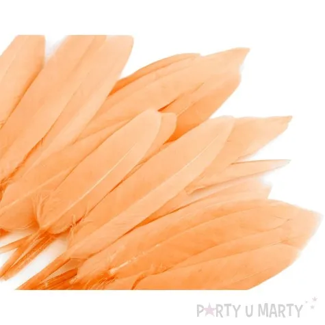 piorka dekoracyjne gesie lososiowy stoklasa 9 14 cm 20 szt