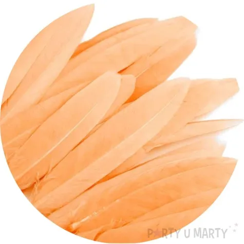 piorka dekoracyjne gesie lososiowy stoklasa 9 14 cm 20 szt