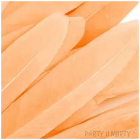 piorka dekoracyjne gesie lososiowy stoklasa 9 14 cm 20 szt