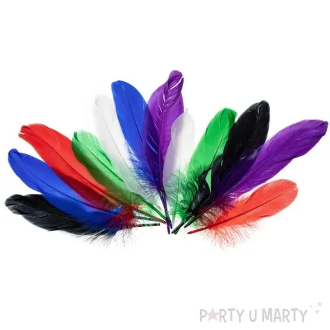 piorka dekoracyjne gesie mix brewis 15 20 cm 12 szt