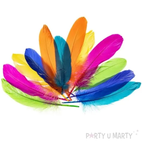 piorka dekoracyjne gesie neonowy mix brewis 15 20 cm 12 szt