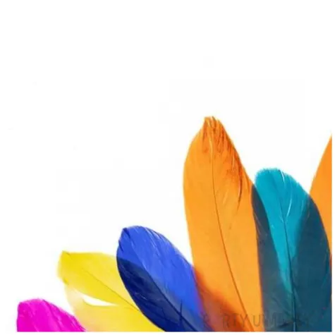 piorka dekoracyjne gesie neonowy mix brewis 15 20 cm 12 szt