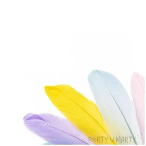 piorka dekoracyjne gesie pastelowy mix brewis 15 20 cm 10 szt