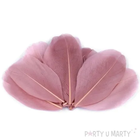 piorka dekoracyjne gesie rozowy ciemny stoklasa 5 5 7 cm 10 szt