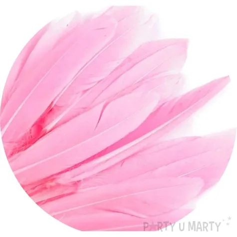 piorka dekoracyjne gesie rozowy jasny stoklasa 9 14 cm 20 szt