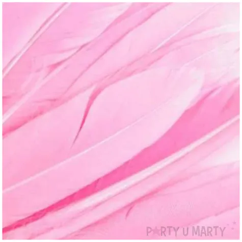 piorka dekoracyjne gesie rozowy jasny stoklasa 9 14 cm 20 szt