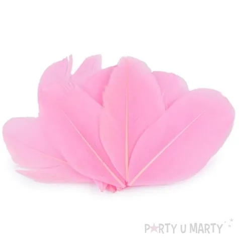 piorka dekoracyjne gesie rozowy stoklasa 5 5 7 cm 10 szt