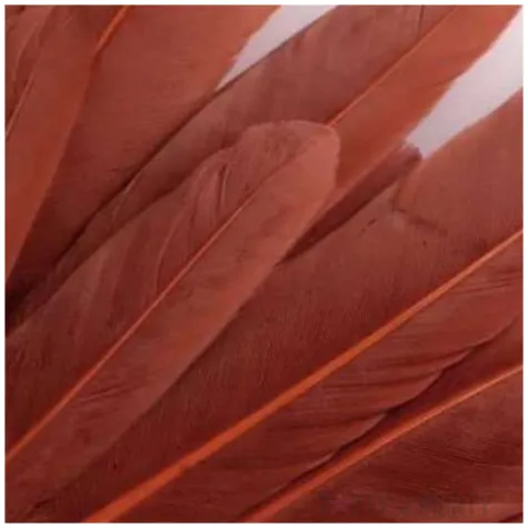 piorka dekoracyjne gesie rudy stoklasa 9 14 cm 20 szt