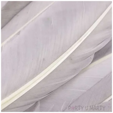 piorka dekoracyjne gesie szary stoklasa 9 14 cm 20 szt