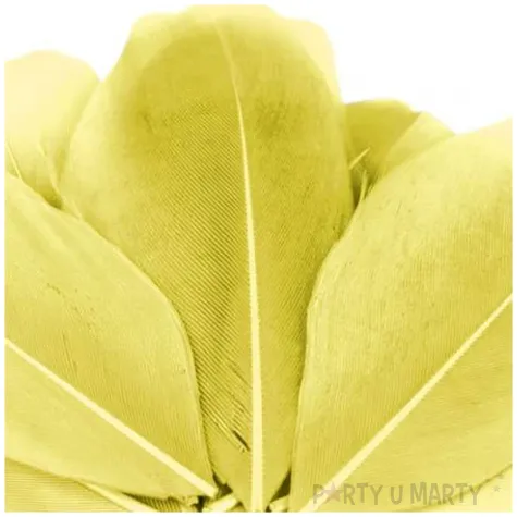 piorka dekoracyjne gesie zolty stoklasa 5 5 7 cm 10 szt