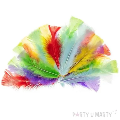 piorka dekoracyjne indycze sciete pastelowy mix brewis 10 15 cm 24 szt