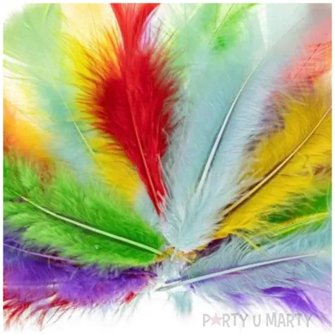 piorka dekoracyjne indycze sciete pastelowy mix brewis 10 15 cm 24 szt