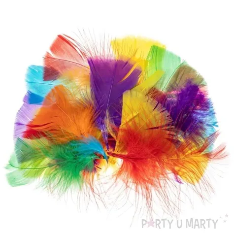 piorka dekoracyjne indycze trojkatne mix brewis 5 10 cm 24 szt