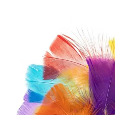 piorka dekoracyjne indycze trojkatne mix brewis 5 10 cm 24 szt