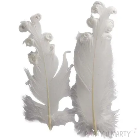 piorka dekoracyjne krecone biale titanum 16 g