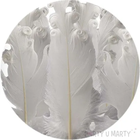 piorka dekoracyjne krecone biale titanum 16 g