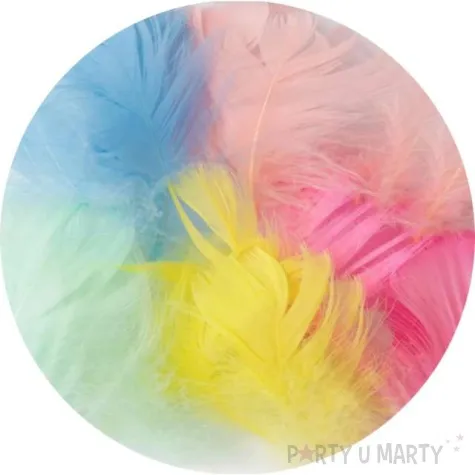 piorka dekoracyjne krotkie mix partypal 5 8 cm 50 szt