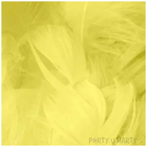 piorka dekoracyjne krotkie zolte partypal 5 8 cm 50 szt