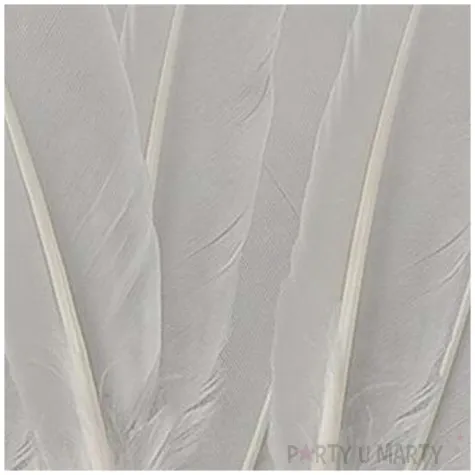 piorka dekoracyjne lotki biale titanum 50 szt