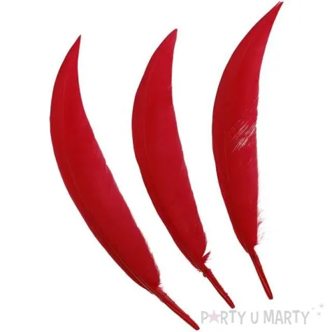 piorka dekoracyjne lotki czerwone titanum 16 g