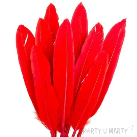piorka dekoracyjne lotki krotkie czerwone czakos 18 szt