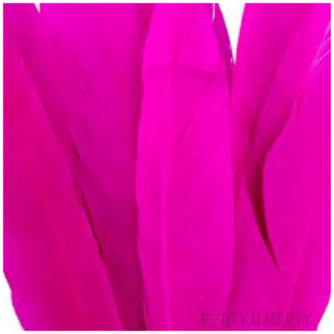 piorka dekoracyjne lotki krotkie rozowe czakos 18 szt