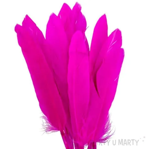 piorka dekoracyjne lotki krotkie rozowe czakos 18 szt