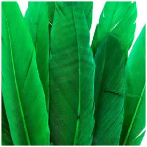 piorka dekoracyjne lotki krotkie zielone czakos 18 szt