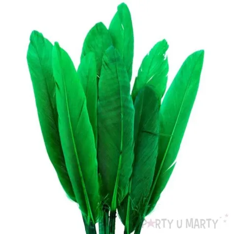 piorka dekoracyjne lotki krotkie zielone czakos 18 szt