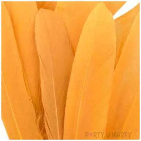 piorka dekoracyjne lotki pomaranczowe jasne czakos 18 szt