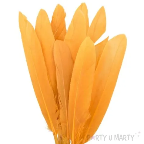 piorka dekoracyjne lotki pomaranczowe jasne czakos 18 szt