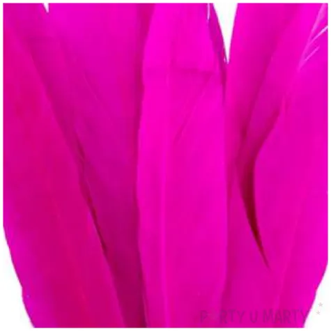 piorka dekoracyjne lotki rozowe ciemne czakos 18 szt