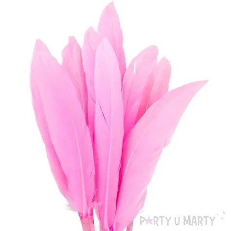 piorka dekoracyjne lotki rozowe czakos 18 szt