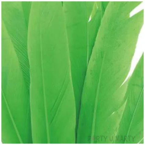 piorka dekoracyjne lotki zielone czakos 18 szt