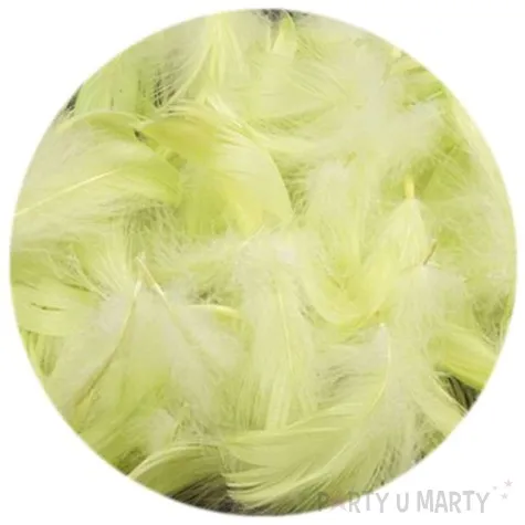 piorka dekoracyjne mietowe woreczek