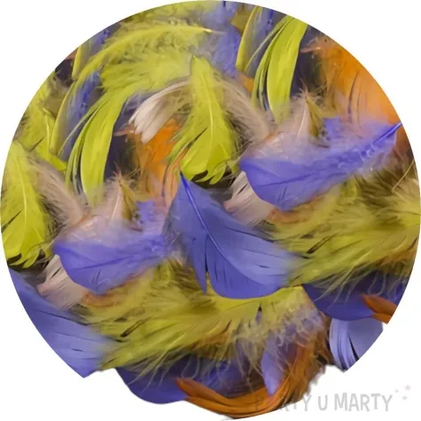 piorka dekoracyjne mix 3 czakos 10 g