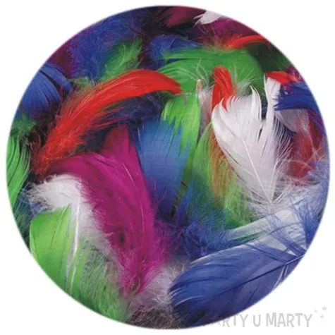 piorka dekoracyjne mix 4 woreczek