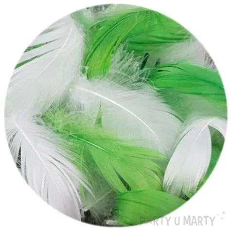 piorka dekoracyjne mix 6 woreczek