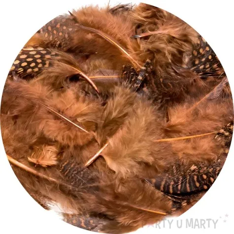 piorka dekoracyjne nakrapiane brazowe brewis 4 10 cm 50 szt