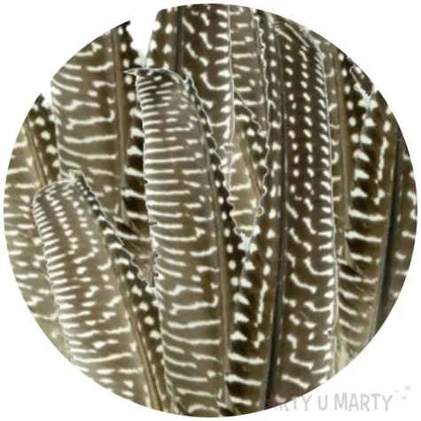 piorka dekoracyjne nakrapiane czarno brazowe aliga 12 18 cm 8 szt