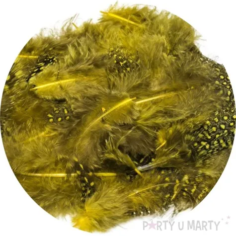 piorka dekoracyjne nakrapiane zolty brewis 4 10 cm 50 szt