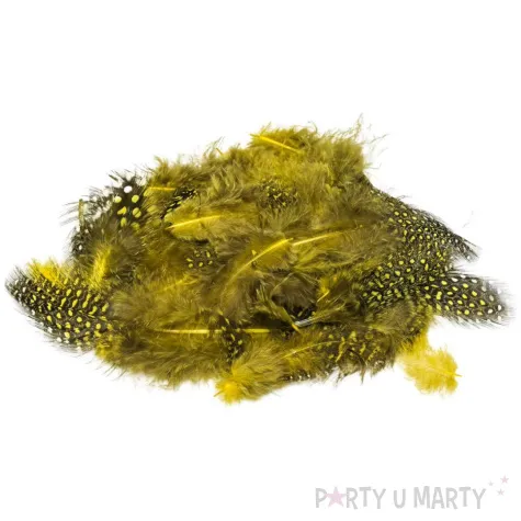 piorka dekoracyjne nakrapiane zolty brewis 4 10 cm 50 szt