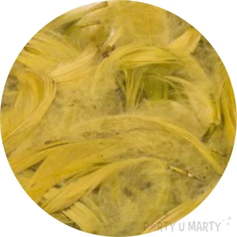 piorka dekoracyjne oliwkowe czakos 10 g