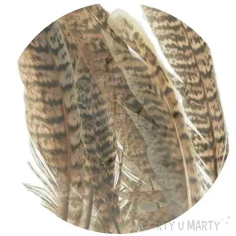 piorka dekoracyjne panterka szaro brazowe aliga 10 15 cm 8 szt