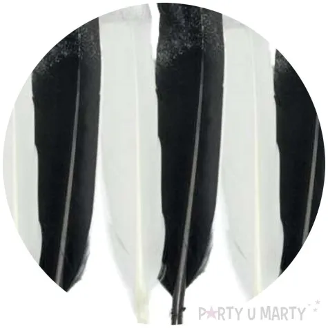 piorka dekoracyjne posrebrzane bialo czarne aliga 16 5 cm 6 szt