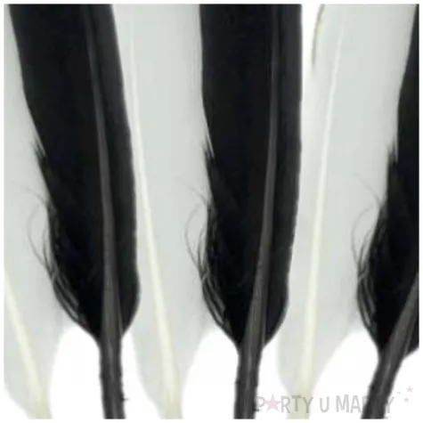 piorka dekoracyjne pozlacane czarno biale aliga 16 5 cm 6 szt