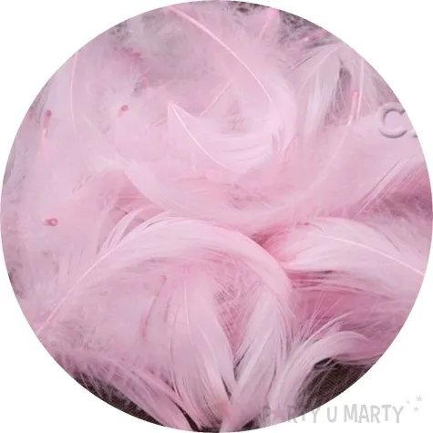 piorka dekoracyjne rozowa jasna czakos 10 g