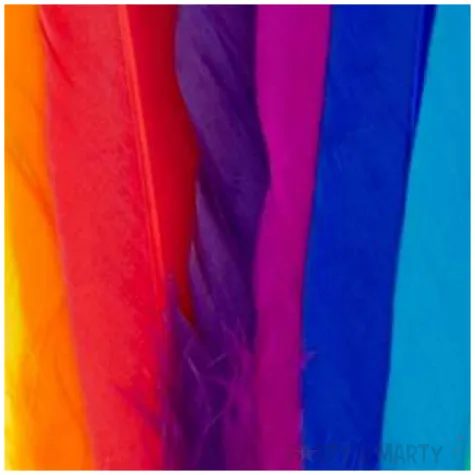 piorka dekoracyjne teczowe mix aliga 15 cm 40 szt