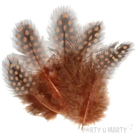 piorka dekoracyjne w grochy brazowe titanum 20 szt